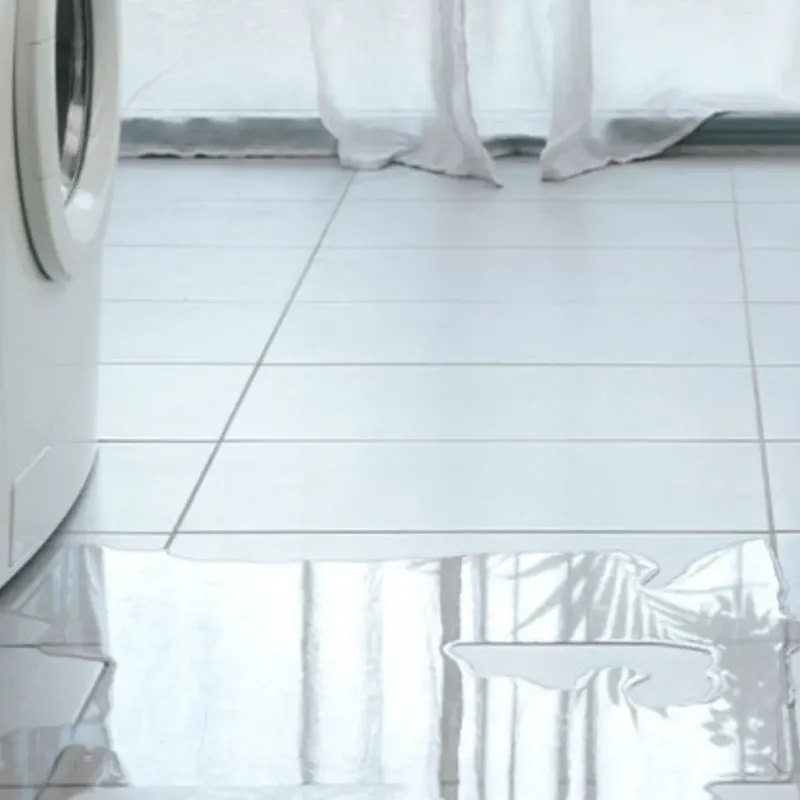 Appliance Leak Cleanup in Westwood, KS
