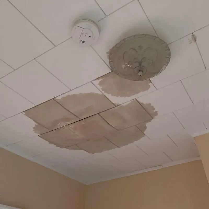 Ceiling Water Damage Repair in Westwood, KS