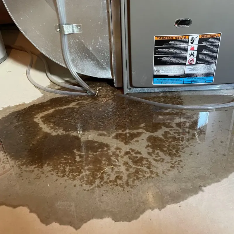 Pipe Burst and Leak Restoration in Westwood, KS
