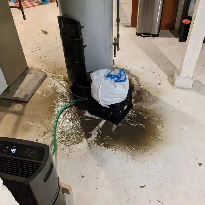 Sewage Backup Cleanup Service in Westwood, KS
